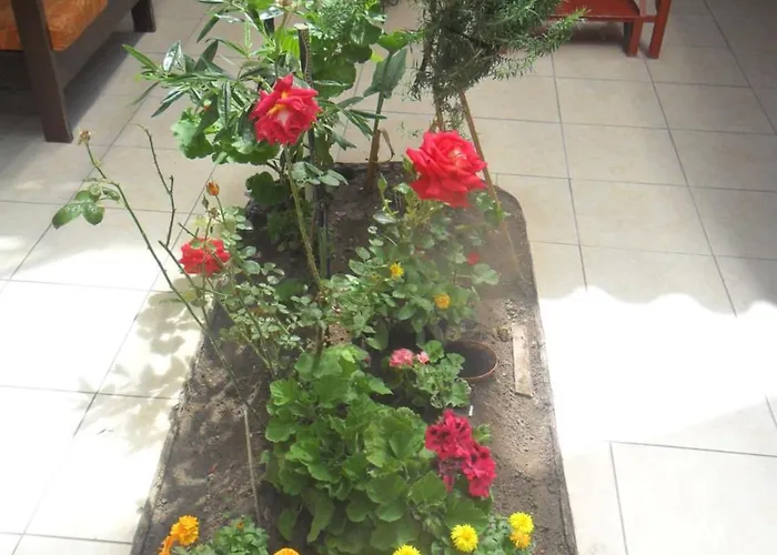 Casa 7